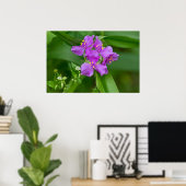 Poster van lentroze spiderwort en kikkerweed (Thuiskantoor)