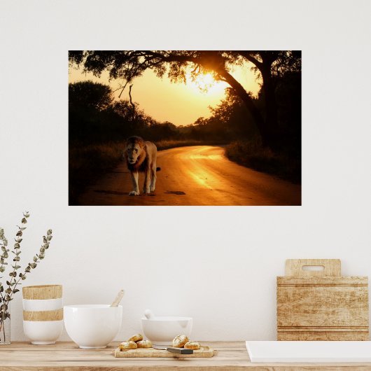 Poster van Lion op weg naar Afrika (Keuken)