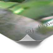 Poster van Male Red-bellied Woodpecker (Hoek)