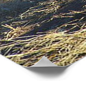 Poster van Mannelijke Lion (Hoek)