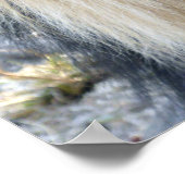 Poster van Mannelijke Lion (Hoek)