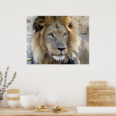 Poster van Mannelijke Lion (Keuken)
