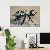 Poster van Mannelijke Oost-Hercules Beetle (Thuiskantoor)
