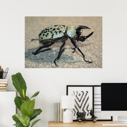 Poster van Mannelijke Oost-Hercules Beetle (Thuiskantoor)