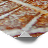 Poster van Maple, bevroren (Hoek)