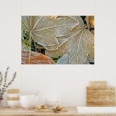 Poster van Maple, bevroren (Keuken)