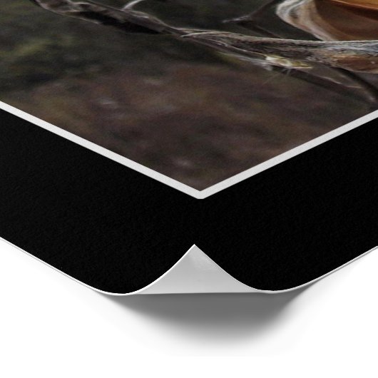 Poster van melkkoe (Hoek)