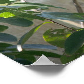 Poster van mensvogels met "Little Doods"-citaat (Hoek)