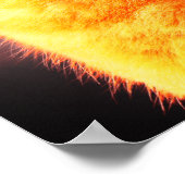 Poster van merlin en geltwin katten (Hoek)