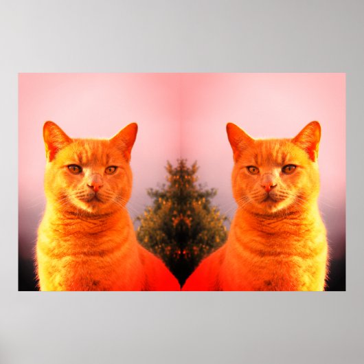 Poster van merlin en geltwin katten (Voorkant)