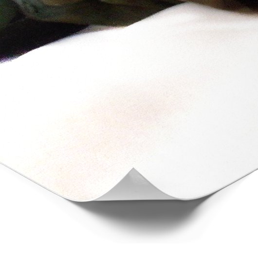 Poster van militaire boxershonden (Hoek)