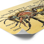 Poster van Mini Honey Bee (Hoek)