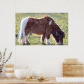 Poster van Mini Horse (Keuken)