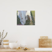 Poster van Mini Horse (Keuken)