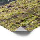 Poster van Mini Horses (Hoek)