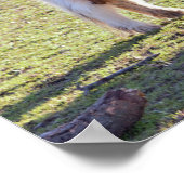 Poster van Mini Horses (Hoek)