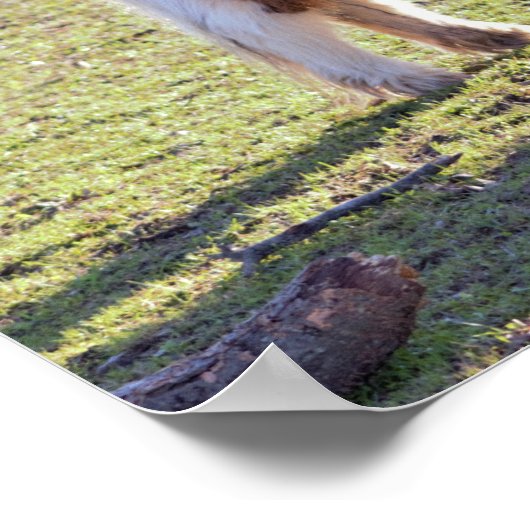 Poster van Mini Horses (Hoek)