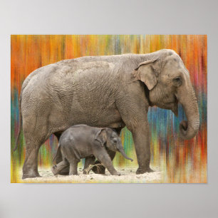 Poster van moeder en baby olifant