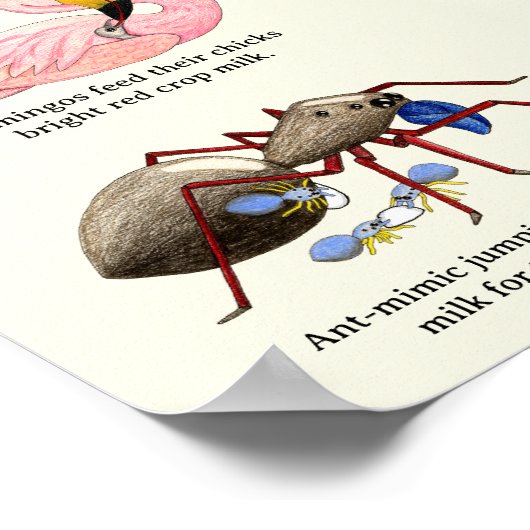 Poster van moedermelk (Hoek)