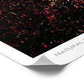 Poster van natuurlijke expressionisme (Hoek)