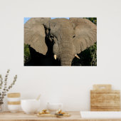 Poster van olifanten (Keuken)