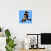 Poster van Osprey Bird (Thuiskantoor)