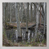 Poster van overstroomde bomen (Voorkant)