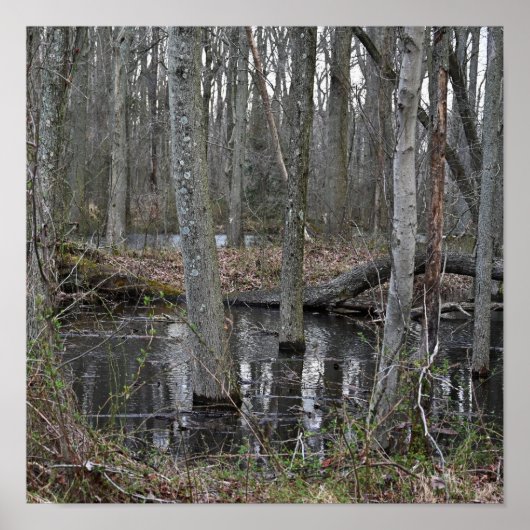 Poster van overstroomde bomen (Voorkant)