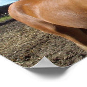 Poster van paarden (Hoek)