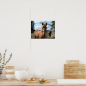 Poster van paarden (Keuken)