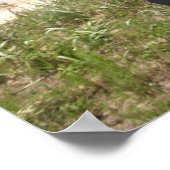 Poster van paarden (Hoek)