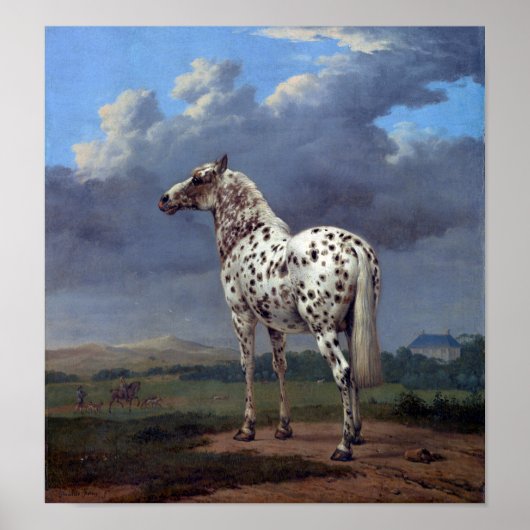 Poster van  paarden (Voorkant)