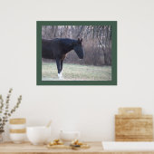 Poster van paarden (Keuken)