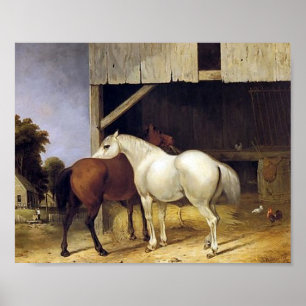 Poster van paarden