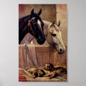 Poster van paarden (Voorkant)