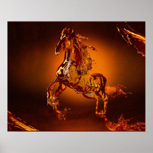 Poster van paarden