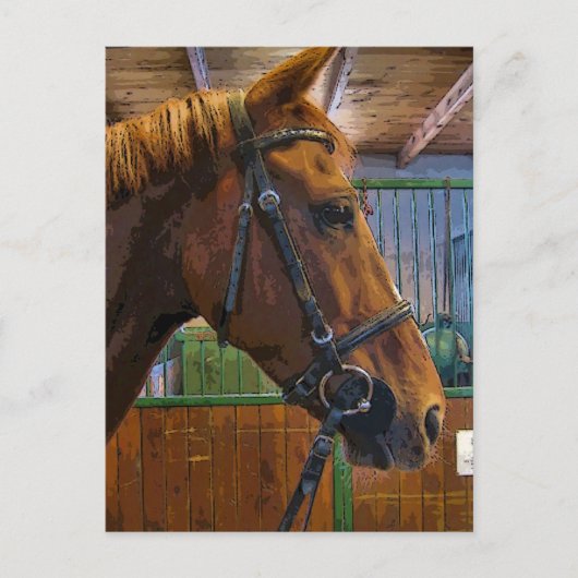 Poster van paarden briefkaart (Voorkant)