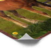 Poster van paarden en poney (Hoek)