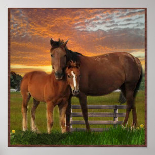 Poster van paarden en poney