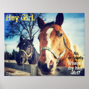 Poster van paarden: "Hey Meisje."