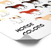 poster van paardenkleurenkaart (Hoek)