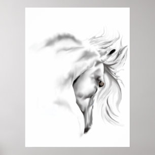 Poster van paardenkop
