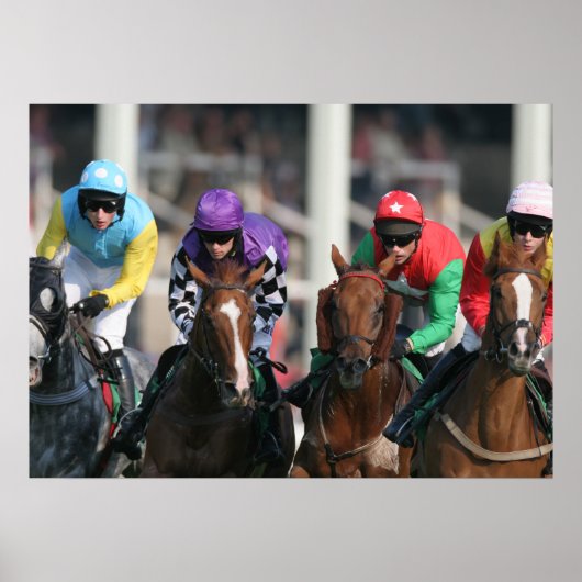 Poster van paardenras (Voorkant)