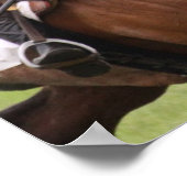 Poster van paardenras (Hoek)