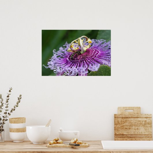 Poster van paardenvoeding Natuur (Keuken)