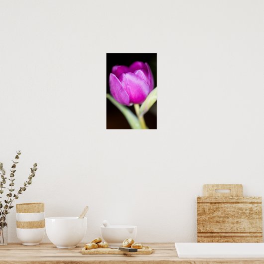 Poster van Paarse tulpenbloem (Keuken)