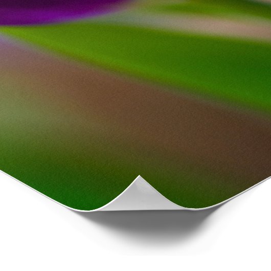 Poster van Paarse tulpenbloem (Hoek)