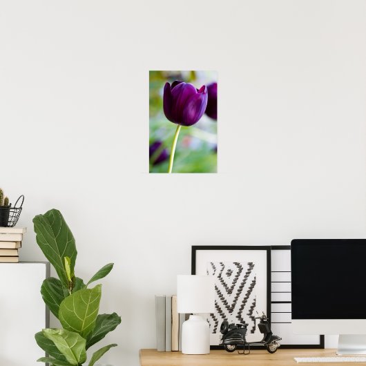 Poster van Paarse tulpenbloem (Thuiskantoor)
