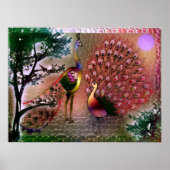 Poster van pacocks (Voorkant)