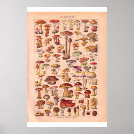 poster van paddenstoelen 1920